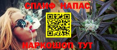 сатива Бийск