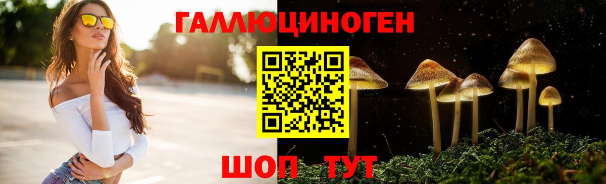 даркнет сайт  Вход с VPN  Ирбит  Псилоцибиновые грибы мухоморы 